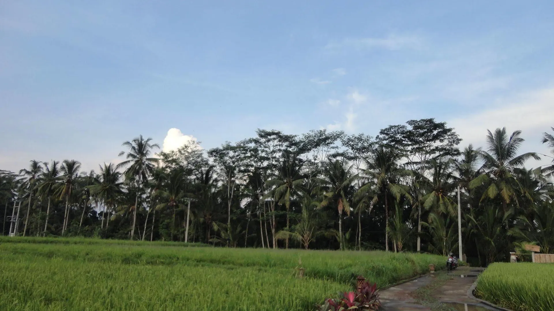 Santosha Villa Ubud 3*, אובוד אינדונזיה